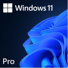 Microsoft Windows 11 Professional 64bit OEM Eng Intl 1PK